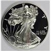 Image 1 : 1999 AMERICAN SILVER EAGLE