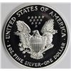 Image 2 : 1999 AMERICAN SILVER EAGLE
