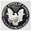 Image 2 : 2000-P AMERICAN SILVER EAGLE
