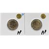 Image 1 : (2) 1938-D BUFFALO NICKEL
