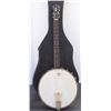 Image 2 : Washburn Tenor Banjo
