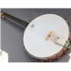 Image 5 : Washburn Tenor Banjo