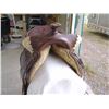 Image 11 : Tex Tan Brahma Brand Saddle