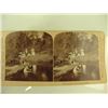 Image 7 : 9 Antique Stereo Optic View Cards