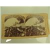 Image 8 : 9 Antique Stereo Optic View Cards