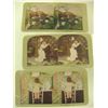 Image 3 : 14 Antique Stereo Optic View Cards