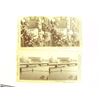 Image 2 : 11 Antique Stereo Optic View Cards