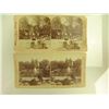 Image 8 : 11 Antique Stereo Optic View Cards