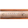 Image 11 : Winchester Model 1906 .22 Short/Long Rifle