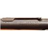Image 13 : Winchester Model 1906 .22 Short/Long Rifle