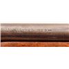 Image 10 : Winchester Model 1906 .22 Rifle Short/Long
