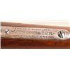 Image 7 : Winchester Model 1906 .22 Rifle Short/Long