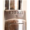 Image 9 : Winchester Model 1906 .22 Rifle Short/Long