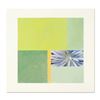 Image 1 : Florid Focus by Rider Original