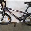 Image 2 : GREYISH BLUE NAKAMURA BIKE