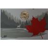 Image 2 : 2017 SPIRIT OF CANADA 3 DOLLAR SILVER COIN .9999 SILVER IN RCM PACKAGE, UNOPENED