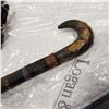 Image 3 : 3 WALKING CANES