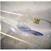 Image 2 : A KOSTA SWEDEN LINDSTRAND BLOWN GLASS SCULPTURE OF A WHALE With etched Jonah sitting inside, #96880,