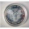 Image 3 : TWELVE 1999 AMERICAN EAGLE SILVER DOLLARS Coins with original fitted case