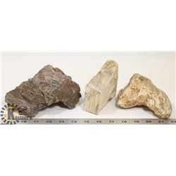 3 PETRIFIED TREE PIECES.