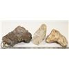 Image 1 : 3 PETRIFIED TREE PIECES.