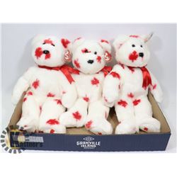 TY BUDDIES CANADA EXCLUSIVE