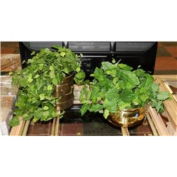 LOT OF 2 BRASS PLANTERS WITH ARTIFICIAL PLANTS