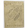Image 2 : 1778 $8 CONTINENTAL CURRENCY