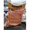 Image 1 : PALLET OF BRISTLE BRUSHES