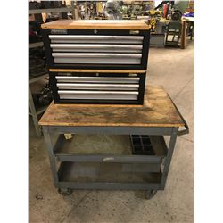 Performax Ball Bearing Tool Boxes with Cart