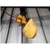 Image 2 : Chain Hoist