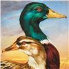 Image 2 : Mallard by Katon, Martin