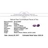 Image 3 : 13.11 ctw.Natural Pear Cut Amethyst Parcel of Two