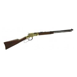 HENRY GOLDEN BOY 17HMR 20"