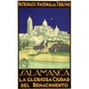 Image 1 : SALAMANCA