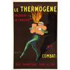 Image 1 : LE THERMOGENE