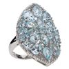 Image 1 : Sterling Silver 5.51ct Blue Topaz Shield Ring-SZ 6