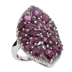 Sterling Silver 5.79ct Garnet Shield Ring-SZ 6