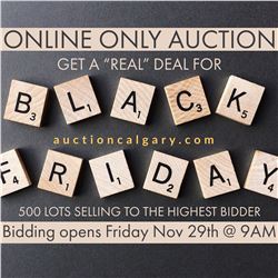 BLACK FRIDAY DEALS ALL WEEKEND LONG -BIDDING OPENS AT 9AM THIS FRIDAY