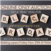 Image 1 : BLACK FRIDAY DEALS ALL WEEKEND LONG -BIDDING OPENS AT 9AM THIS FRIDAY