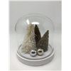 Image 1 : Glass Dome Christmas Decoration