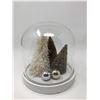 Image 1 : Glass Dome Christmas Decoration