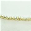 Image 1 : S/SIL FRESH WATER PEARL BEAD NECKLACE