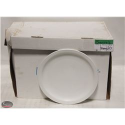 19 - 10" PORCELAIN DINNER PLATES