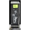 Image 1 : CRYSTAL HOLOGRAM OF MAN GOLFING