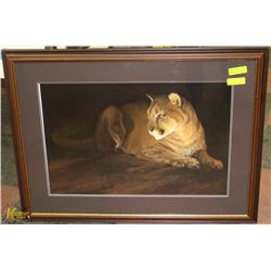 FRAMED ART "BY FIRELIGHT-MOUNTAIN LION" BY MORTEN