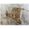 Image 4 : Long Rattan-Type Material for Flooring or Wall