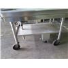 Image 2 : Stainless Steel Rolling Drain Tray w/ Edge Guard & Undershelf