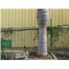 Image 3 : Tall Royal Palm Tree in Concrete Base Planter