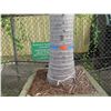 Image 3 : Tall Royal Palm Tree in Concrete Base Planter